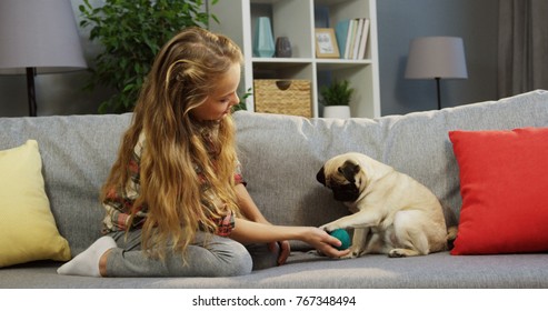 Pretty Blonde 10 Years Old Girl And Her Cute Pug Playing With A Ball Of Thread In The Cozy Living Room. Inside