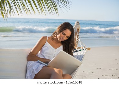 Pretty Brunette Sitting On Hammock With Laptop On The Beach