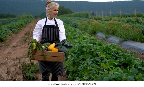 Pretty, Caucasian, Female Chef Carrying Fresh Picked Vegetables Walking Towards Camera On A Farm For Farm To Table At Sunrise Sunset.