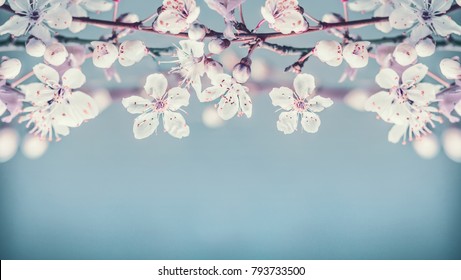 Background Flower Abstract Cherry Blossom Images Stock Photos