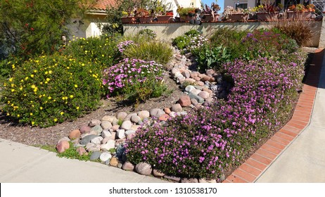 Pretty and colorful drought tolerant landscaping in Southern California                              