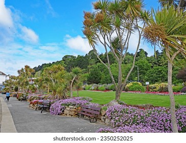The pretty and colourful tree and flower lined promenade in St Brelade Jersey in the channel isles U.K.