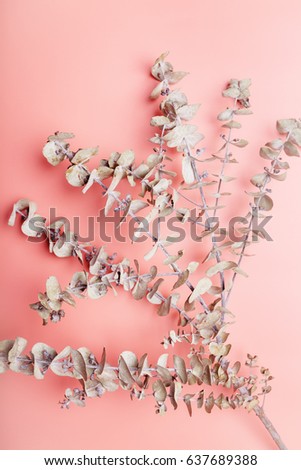 Similar – Envelope decorated with flowers