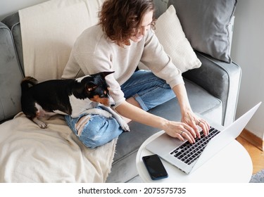 Pretty curly happy young woman sitting at home on sofa front of laptop with her pet dog working online
