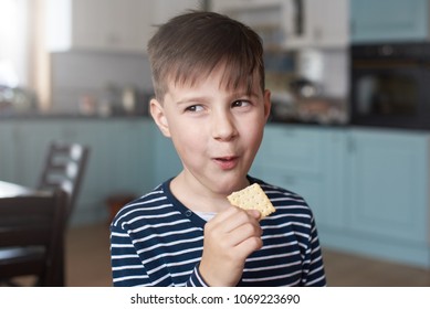 Pretty European Boy With A Cunning Smile Is Eating Biscuit During The Lunch Time.