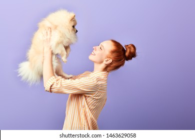 Pretty Excited Young Red-haired Woman Holding A Nice Fluffy Breed Dog Over Her Head. Close Up Side View Photo. Isolated Blue Background Studio Shot. Positive Emotion And Feeling