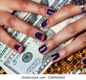 Pretty Fingers Of African American Woman Holding Money Close Up With Purse, Luxury Jewellery On Python Clutch, Cash For Gifts