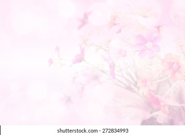 Pretty Flowers Blooming In Soft And Blur Style For Background