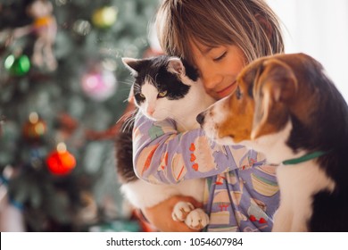 The pretty girl embarcing cat and dog