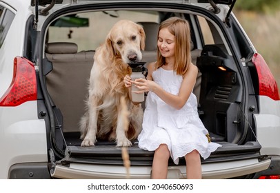 Pretty Girl Giving Water Golden Retriever Dog From Bottle In Car Trunk. Cute Child Kid Cares About Doggy Pet In Vehicle