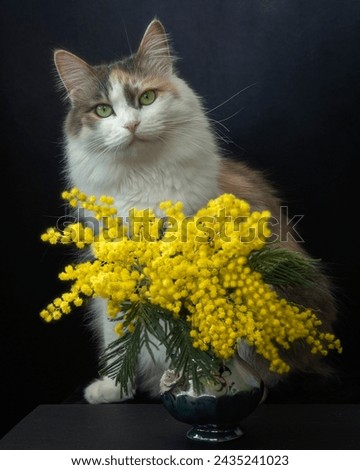 Pretty kitty and bouquet of flowers
