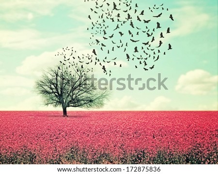 a pretty lanscape with a pink field and a tree with birds flying