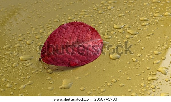 A pretty leaf on top of a trunk of a yellow car\
after rain.