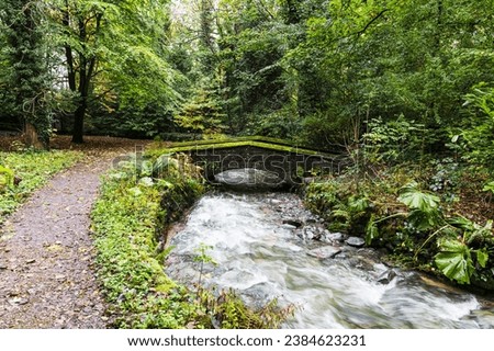 Pretty little foot bridge in lovely wooded setting with milky water flowing in the stream, taken 24th Oct 2023.