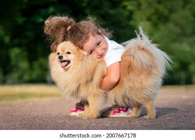 Pretty little girl kid is hugging, walking with her cute small friend Pomeranian Spitz puppy, beautiful child holding a dog at a sunny summer day in park. Children love animals, friendship concept. 