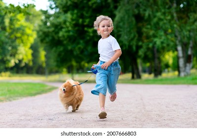 Pretty Little Girl Kid Is Walking With Her Cute Small Friend Pomeranian Spitz Puppy, Beautiful Child Holding A Dog On A Leash At A Sunny Summer Day In Park. Children Love Animals, Friendship Concept. 