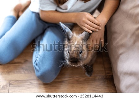Similar – Image, Stock Photo Person playing with rabbit at home
