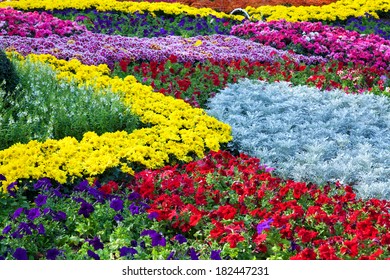 Pretty Manicured Flower Colorful Garden