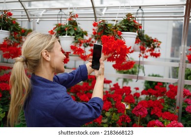 Pretty Mature Woman Taking A Picture Of Flowers On A Smartphone In A Greenhouse