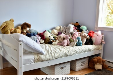 Pretty And Modern Kid's Bedroom With Stuffed Toys And Storage Solutions