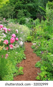 Pretty Path In An English Cottage Garden.