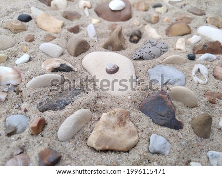 Pretty pebbles in the sand, decorated with shells in a pattern. 