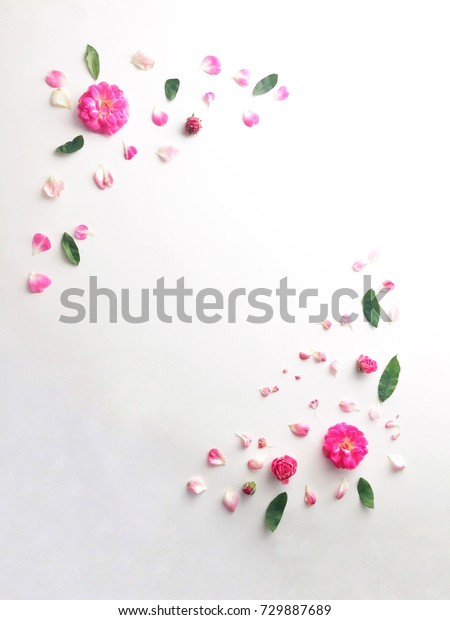 Pink Flowers Photography Backdrop Photo Background Beautiful Flower Vinyl 98.4 in W H 59 in 1.52.1M