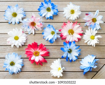 Pretty Red White And Blue Patriotic Colored Daisy Flowers Scattered On A Wood Table Background.  It's A Horizontal Photo With Flat Layout Shot From Above, Looking Down View For A Modern, Trendy Style
