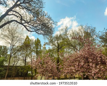 Pretty Scenery With Blooming Trees At Spring And A Nice Tower At The Background.