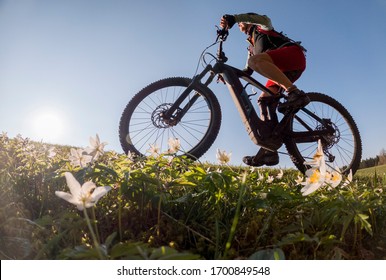 pretty senior woman riding her electric mountain bike in early springtime in the Allgau mountains near Oberstaufen, in warm evening light with blooming spring flowers in the Foreground - Powered by Shutterstock