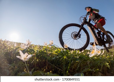 pretty senior woman riding her electric mountain bike in early springtime in the Allgau mountains near Oberstaufen, in warm evening light with blooming spring flowers in the Foreground