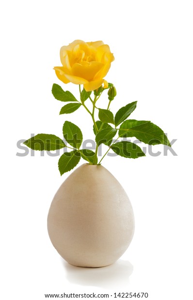 Pretty Single Yellow Rose On Stem Stock Photo Edit Now 142254670