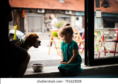 Pretty Small Child In Green Dress And Cute Dog Drinking Water And Sitting At The Floor In Cafe. Lovely Friendship