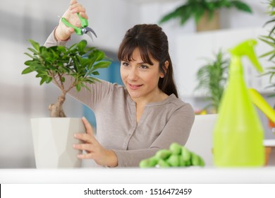 pretty smiling woman trimming a bonsai - Powered by Shutterstock