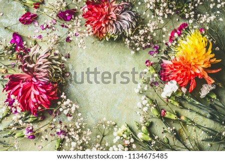 Similar – Image, Stock Photo Summer flowers frame on green