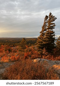 pretty sunset with nice trees