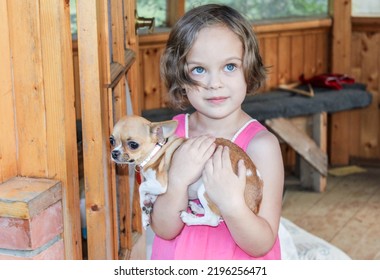 A Pretty Toddler Girl With Big Blue Eyes Holds A Small Chihuahua Dog In Her Arms.