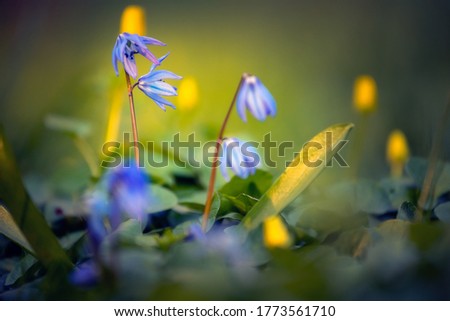 Similar – Image, Stock Photo shining blue Exterior shot