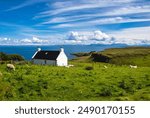 Pretty white cottage on the coast of Isle of Skye with sheep grazing in it