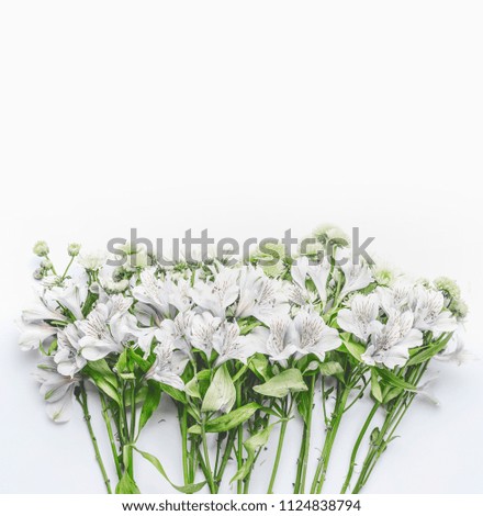 White flowers on white