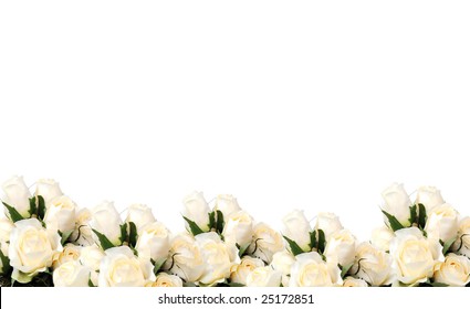 Pretty White Rose Border