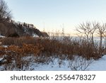 Pretty winter landscape with dry hydrangeas and other plants on St. Lawrence river coastline seen at dawn, Saint-Antoine-de-Tilly, Quebec, Canada