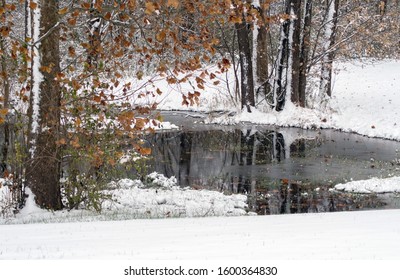 Pretty Winter Scene With A Small Pond In A Woods, Lightly Glazed Over With Ice