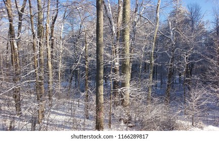 A Pretty Winter Scene In Western New England