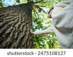 Pretty woman leaning on the old tree. Female hugging huge tree trunk. Girl touches a big tree in a park. Spiritual healing, love nature. Energy recharge in the forest.