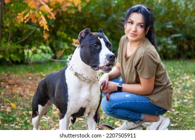 Pretty Woman Posing With American Staffordshire Terrier In The Autumn Park.