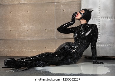 Catwoman Images Stock Photos Vectors Shutterstock