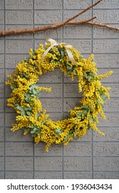 Pretty Wreath Of Cootamundra Wattle (Acacia Baileyana )