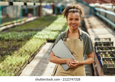 Pretty young African American female farmer or woner oh large hothouse with laptop standing against long tables with seedlings - Shutterstock ID 2122747328