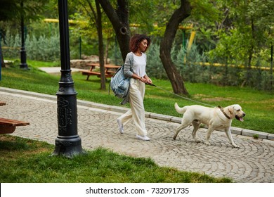 Pretty Young African Lady In White Clothes Walking With Dog Labrador In Park In The Morning